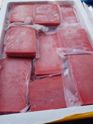 WEB TUNA SAKU